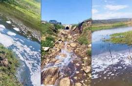 Criză pe Răut: scurgeri suspecte și miros insuportabil lângă Orhei - agroexpert.md