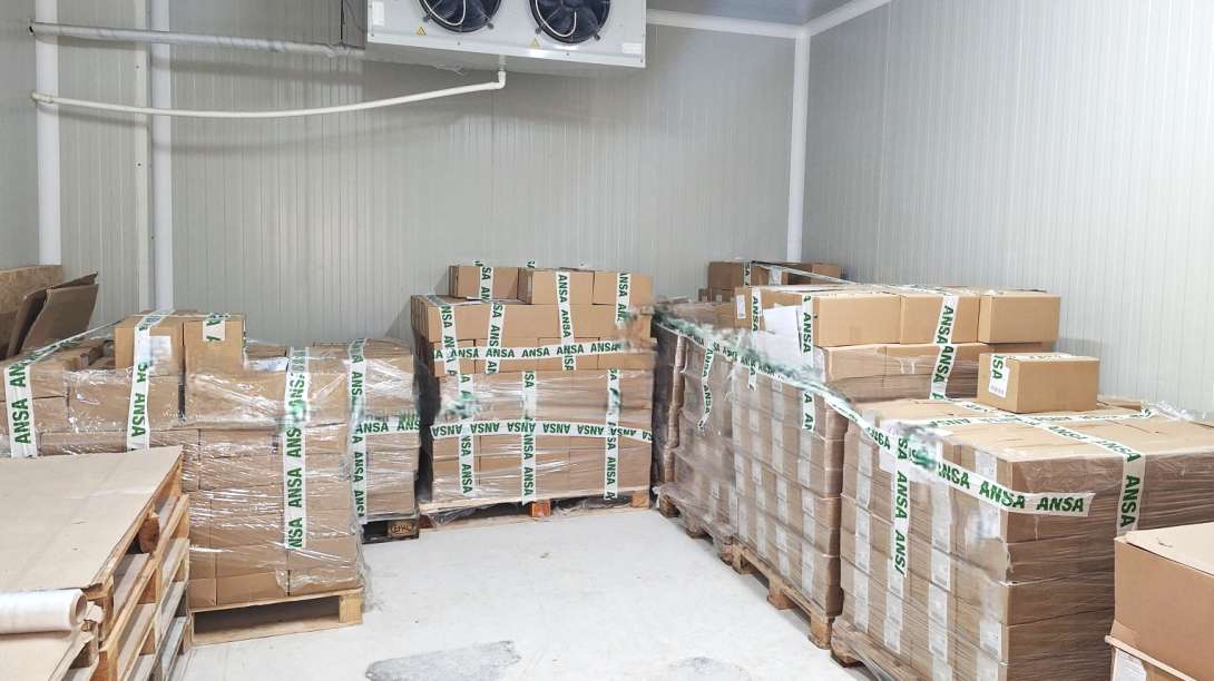 ANSA a blocat 1490 kg de produse alimentare neconforme la frontieră - agroexpert.md