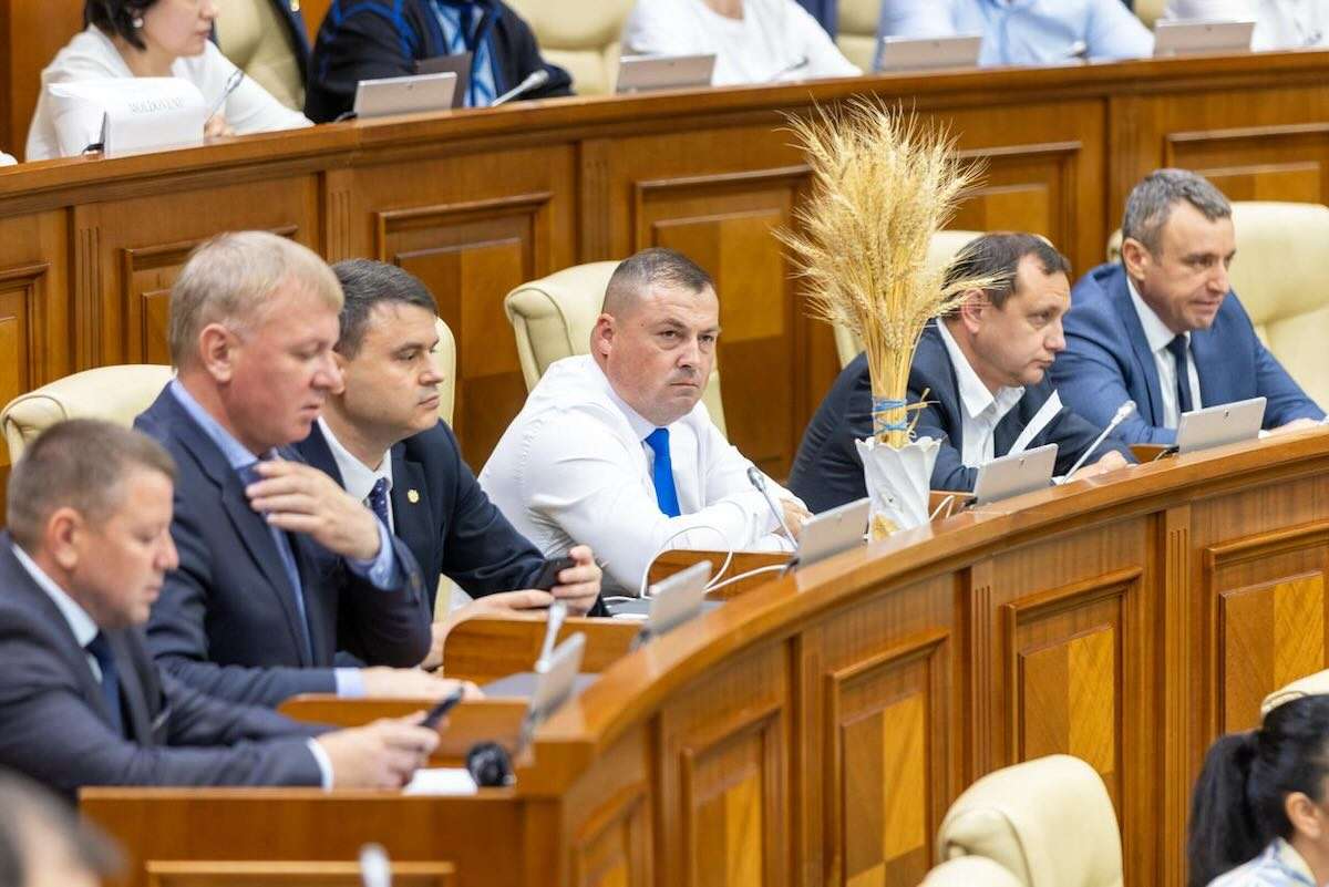 Serghei Ivanov: TVA de 0% pentru agricultori este o capcană - agroexpert.md