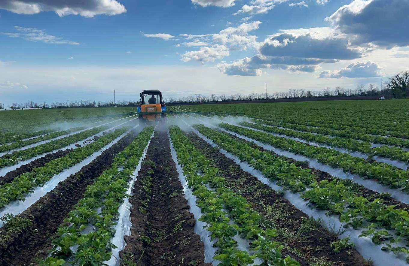 Fertilizante eco din Slovacia- AGROEXPERT.MD