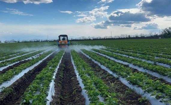 Fertilizante eco din Slovacia- AGROEXPERT.MD