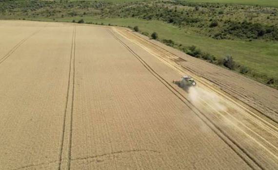 Noul PSPA, explicat fermierilor: AIPA începe campania de informare - agroexpert.md