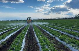 Fermierii utilizează deja preparatele eco, primite din Slovacia