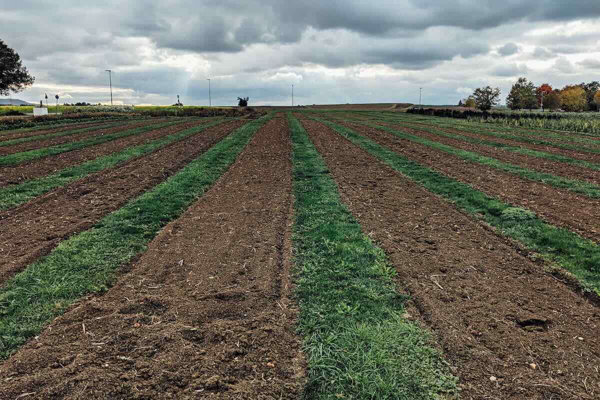 AIPA susține dezvoltarea satelor prin Programul LEADER - agroexpert.md