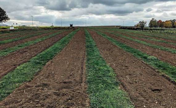 AIPA susține dezvoltarea satelor prin Programul LEADER - agroexpert.md