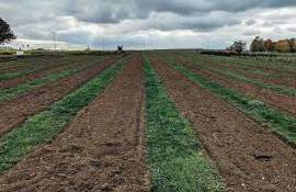 AIPA susține dezvoltarea satelor prin Programul LEADER - agroexpert.md