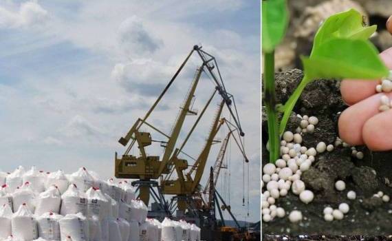 Крупнейшие производители удобрений ограничивают экспорт на фоне кризиса - agroexpert.md