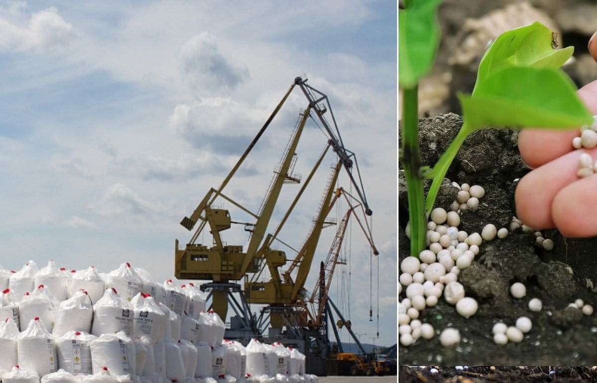 Крупнейшие производители удобрений ограничивают экспорт на фоне кризиса - agroexpert.md