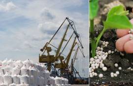 Крупнейшие производители удобрений ограничивают экспорт на фоне кризиса - agroexpert.md