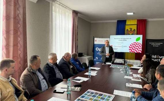 Cum vor face față fermierii din sud provocărilor din sectorul strugurilor de masă - agroexpert.md