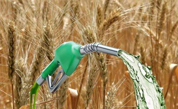 В Казахстане запущено промышленное производство топлива из зерна пшеницы - agroexpert.md