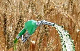 В Казахстане запущено промышленное производство топлива из зерна пшеницы - agroexpert.md