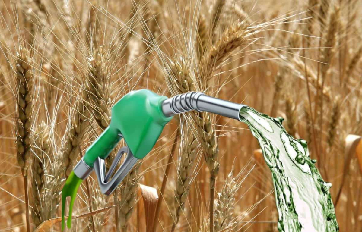 В Казахстане запущено промышленное производство топлива из зерна пшеницы - agroexpert.md