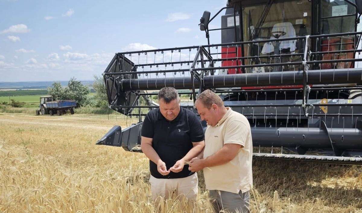 La UTM a început campania de recoltare. Studenții implicați în activitate - agroexpert.md