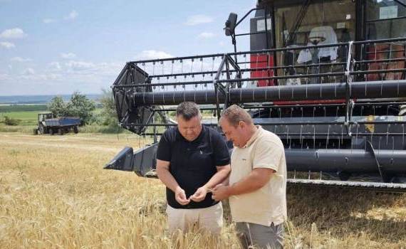 La UTM a început campania de recoltare. Studenții implicați în activitate - agroexpert.md