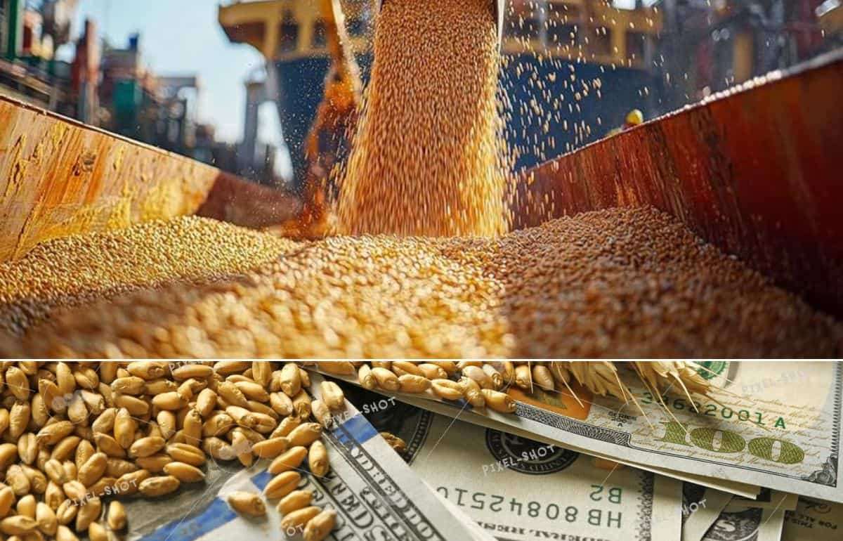 Геополитика меняет правила игры: зерновые потоки и вызовы для мукомолов - agroexpert.md