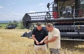 La UTM a început campania de recoltare. Studenții implicați în activitate - agroexpert.md