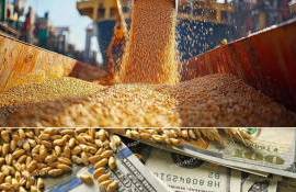 Геополитика меняет правила игры: зерновые потоки и вызовы для мукомолов - agroexpert.md