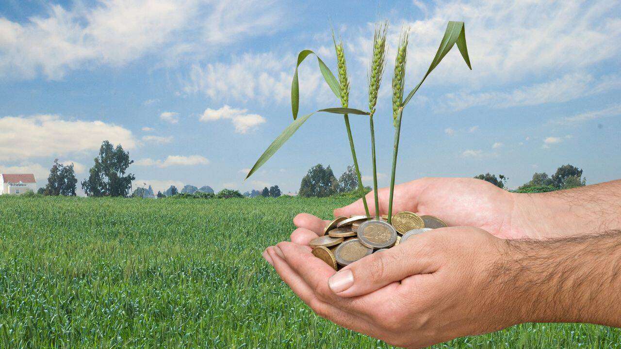 Plăți de aproape 78 mil. lei pentru agricultură - agroexpert.md