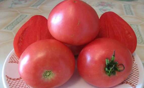 Турецкие помидоры укрепляют позиции на международных рынках - agroexpert.md