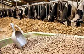 Мировой рынок кормов вырос на 40 млн т: названы ведущие производители - agroexpert.md