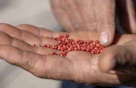 Granturi de până la 20.000 EUR pentru fermieri. Ce trebuie să știi - agroexpert.md