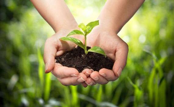 SFS: Producătorii agricoli trebuie să folosească formular nou pentru TVA - agroexpertmd