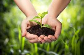 SFS: Producătorii agricoli trebuie să folosească formular nou pentru TVA - agroexpertmd