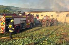 Incendiu la un depozit din Sîngerei: salvate animale și bunuri - agroexpert.md