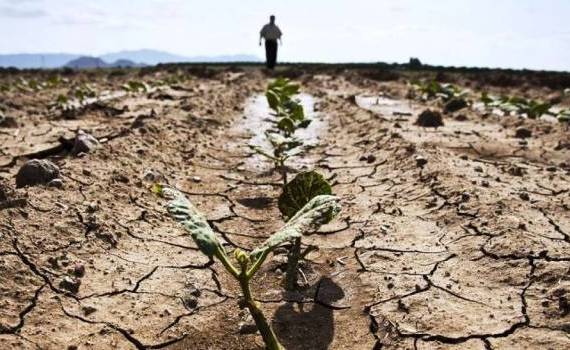 Agricultura a pierdut 46.200 de angajați în 2025, arată datele BNS - agroexpert.md