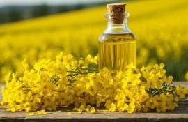 Дефицит рапса может парализовать работу польских переработчиков - agroexpert.md
