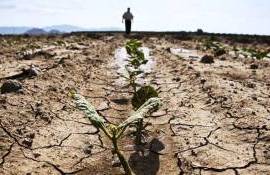 Agricultura a pierdut 46.200 de angajați în 2025, arată datele BNS - agroexpert.md