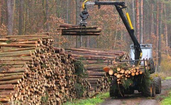 Ministrul Mediului: tehnica silvică va fi utilizată la capacitate maximă - agroexpert.md