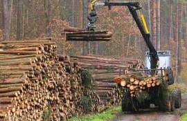 Ministrul Mediului: tehnica silvică va fi utilizată la capacitate maximă - agroexpert.md