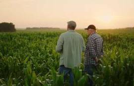 MAIA și ADMA pregătesc un program de sprijin pentru fermieri. Ce presupune - agroexpert.md