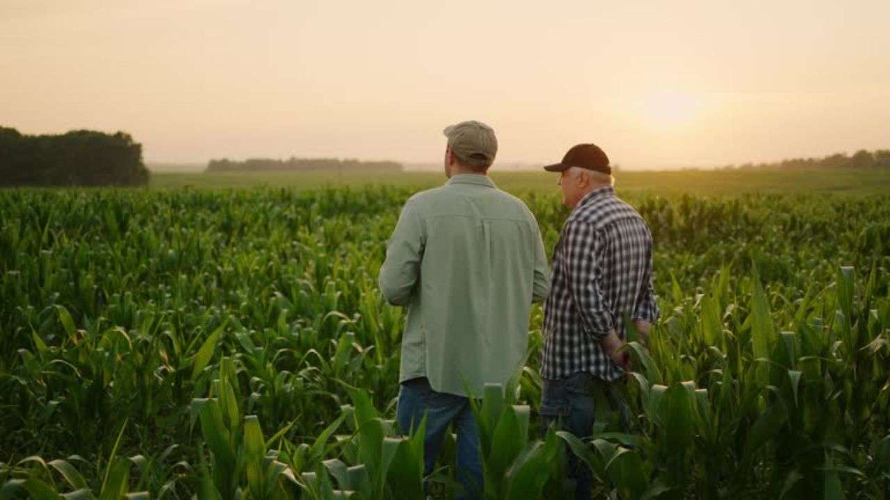 MAIA și ADMA pregătesc un program de sprijin pentru fermieri. Ce presupune - agroexpert.md