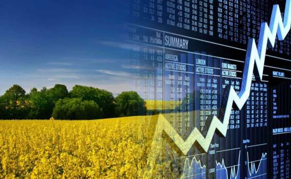 На фоне подорожания нефти фьючерсы на рапс демонстрируют рост - agroexpert.md