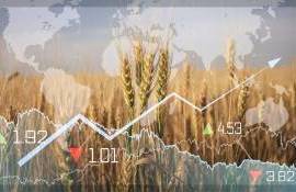 Мировые рынки в четверг: пшеница подорожала, кукуруза и соя подешевели - agroexpert.md