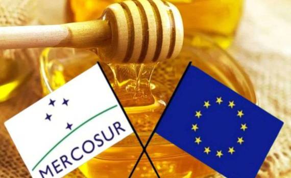 Меркосур атакует рынок ЕС: мед, говядина и споры о квотах - agroexpert.md