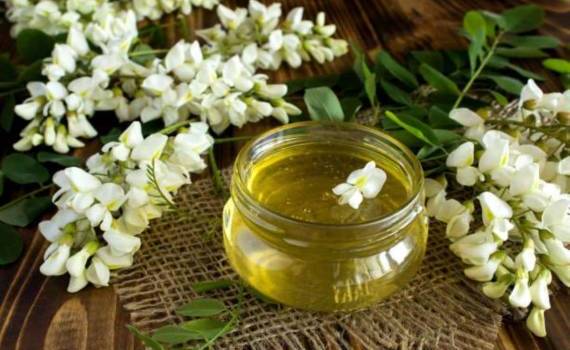 Молдова рассчитывает на хороший урожай меда, но цены под вопросом - agroexpert.md