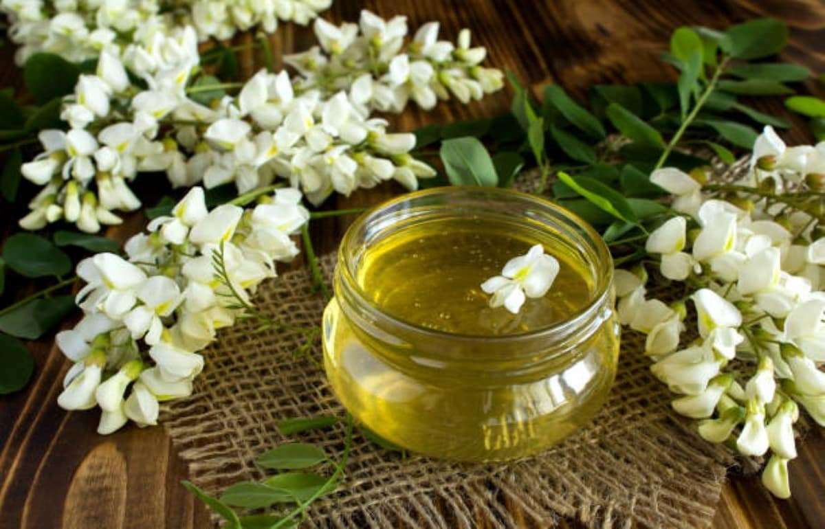 Молдова рассчитывает на хороший урожай меда, но цены под вопросом - agroexpert.md
