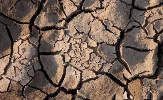 Scumpiri alimentare provocate de fenomenul El Niño - agroexpert.md