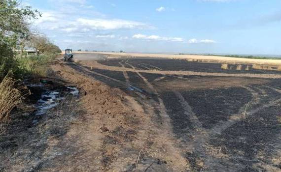 7 hectare de grâu, mistuite de flăcări în raionul Ștefan Vodă - agroexpert.md