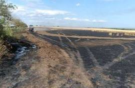 7 hectare de grâu, mistuite de flăcări în raionul Ștefan Vodă - agroexpert.md