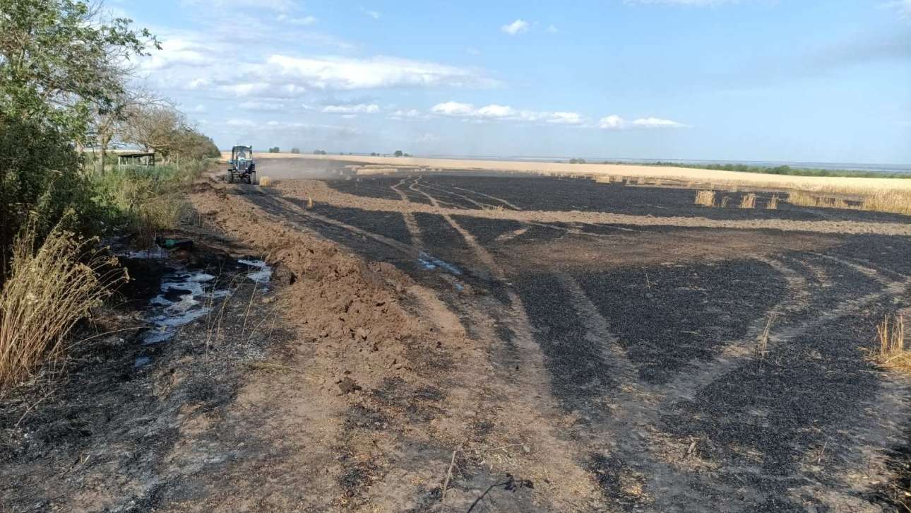 7 hectare de grâu, mistuite de flăcări în raionul Ștefan Vodă - agroexpert.md