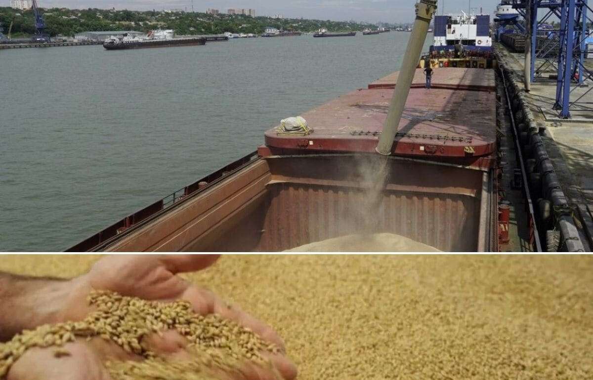 Цены на зерно взлетели из-за атак на зерновозы в России - на рынках паника - agroexpert.md