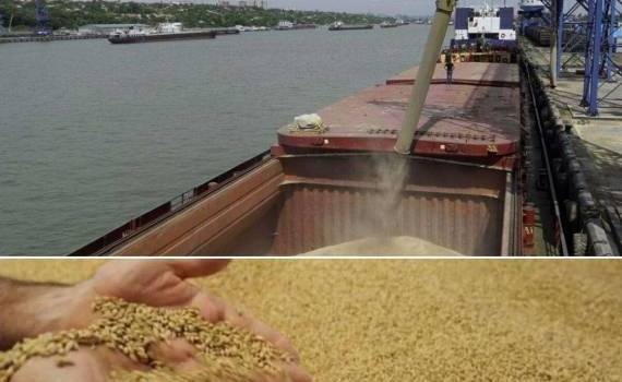 Цены на зерно взлетели из-за атак на зерновозы в России - на рынках паника - agroexpert.md