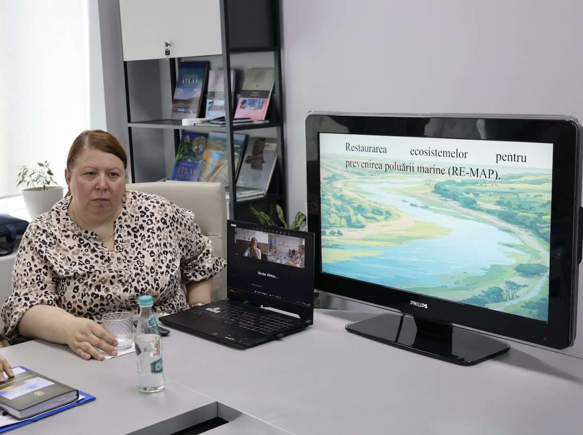 Mii de hectare de păduri și zone umede vor fi restaurate în R. Moldova - agroexpert.md