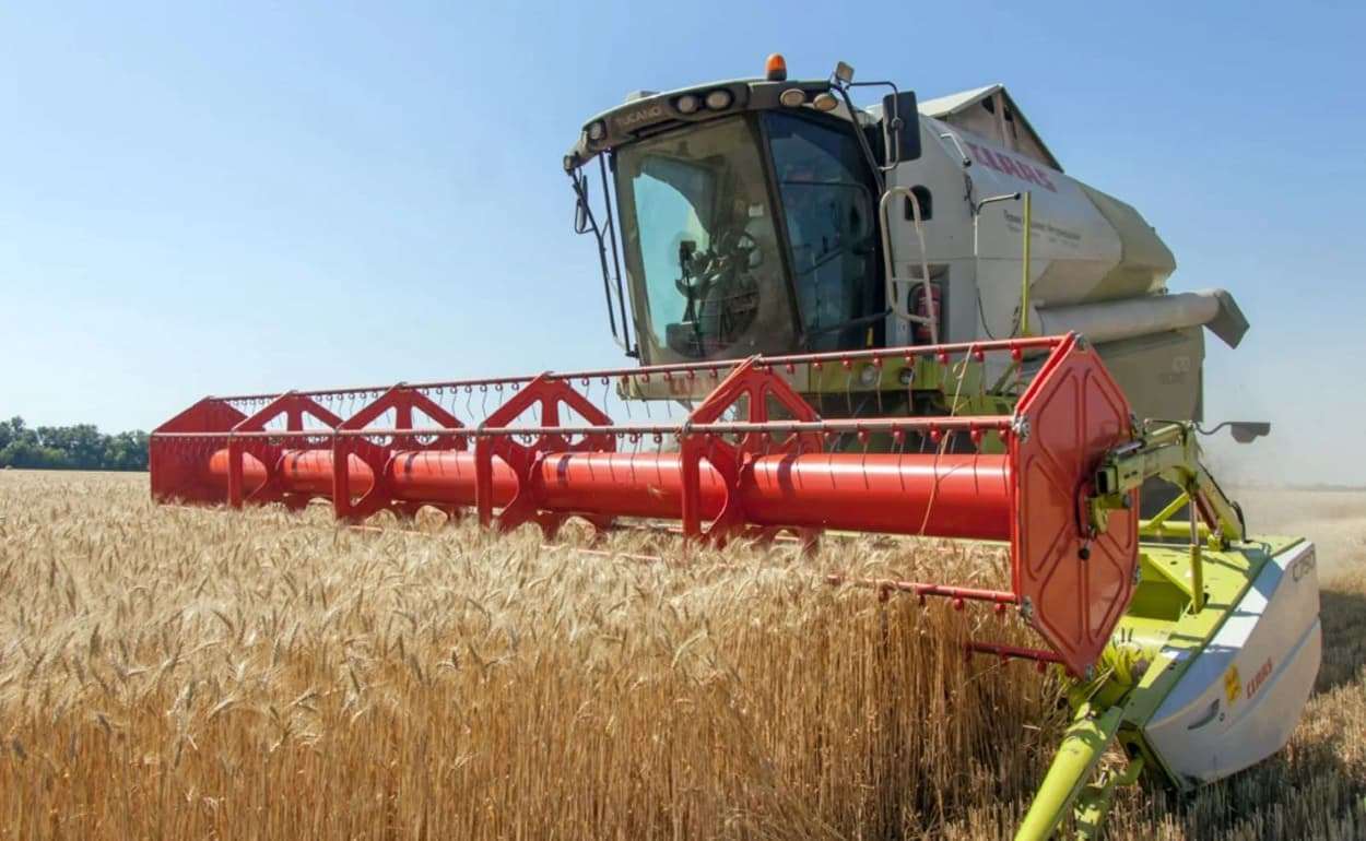 Минсельхоз Франции ожидает снижение производства пшеницы в 2026 году - agroexpert.md