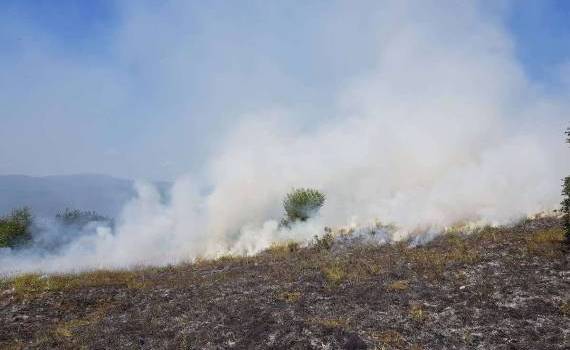 Pericol de incendii în lanuri de cereale în perioada secerișului - agroexpert.md